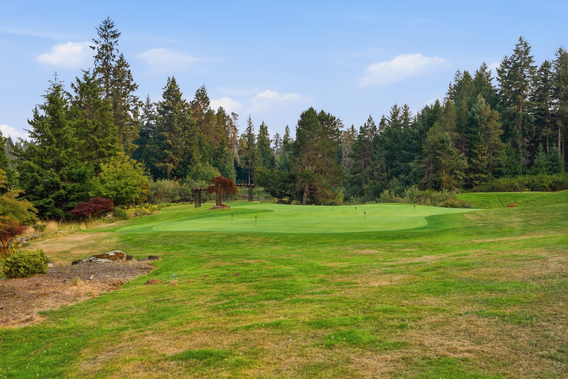 McCormick Woods Golf Course